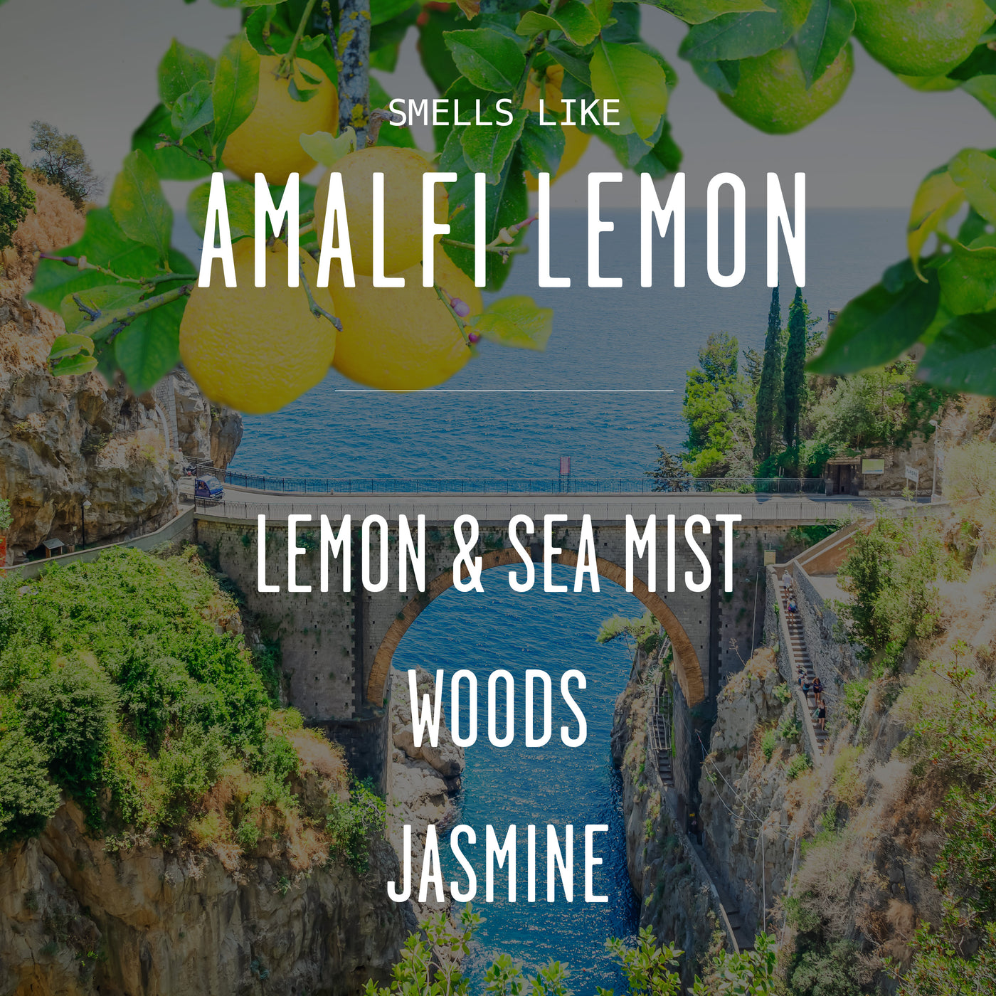 Amalfi Lemon Soy Candle