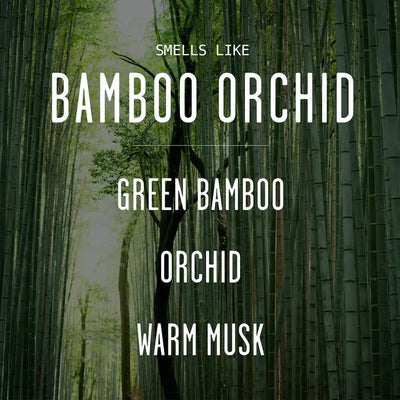 Bamboo Orchid Soy Candle