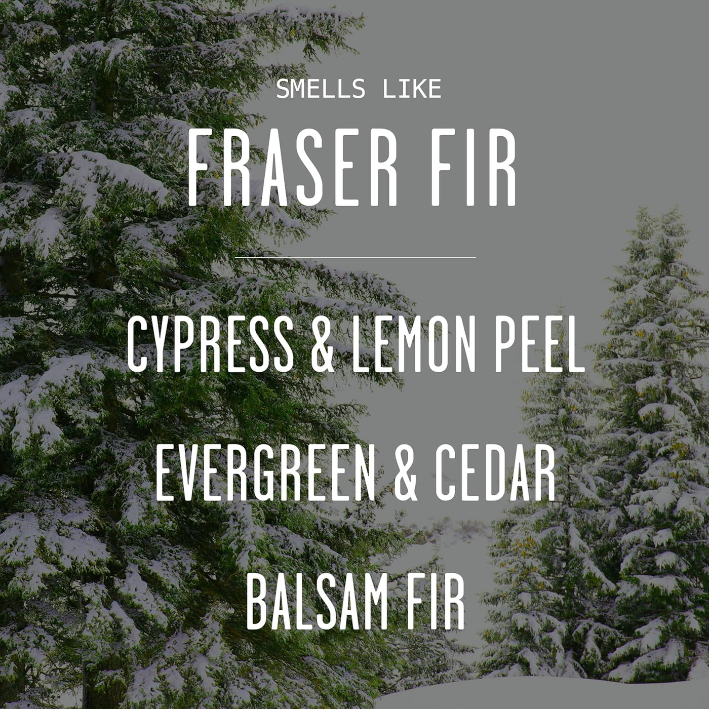 Frasier Fir Reed Diffuser