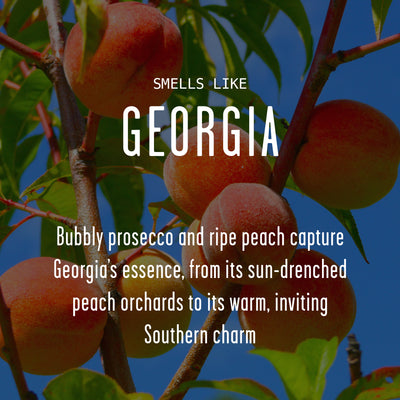 There's No Place Like Georgia Soy Candle
