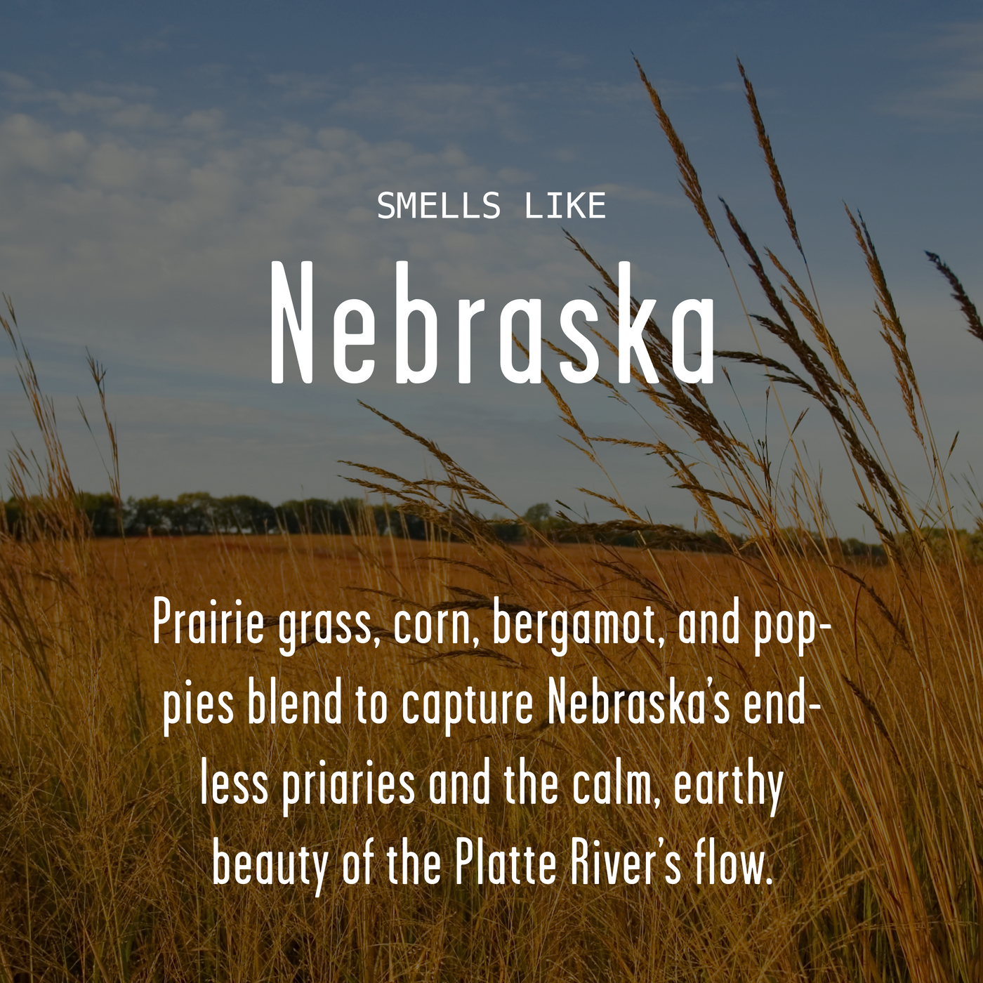 There's No Place Like Nebraska Soy Candle